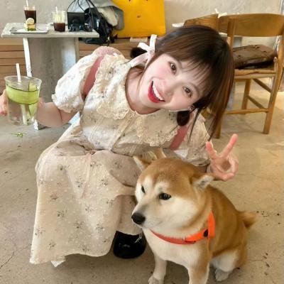 春日暖阳 高清封面