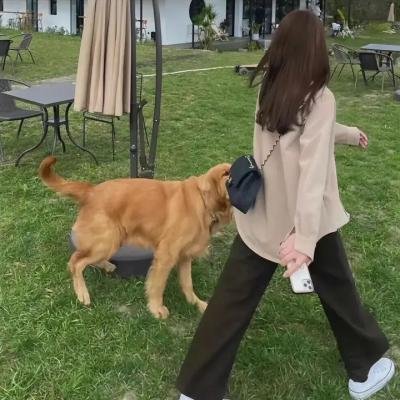 神枪女侠 高清封面
